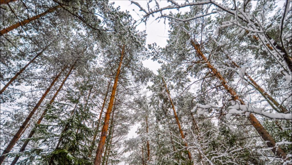 Chata Paradise Сміжани Екстер'єр фото