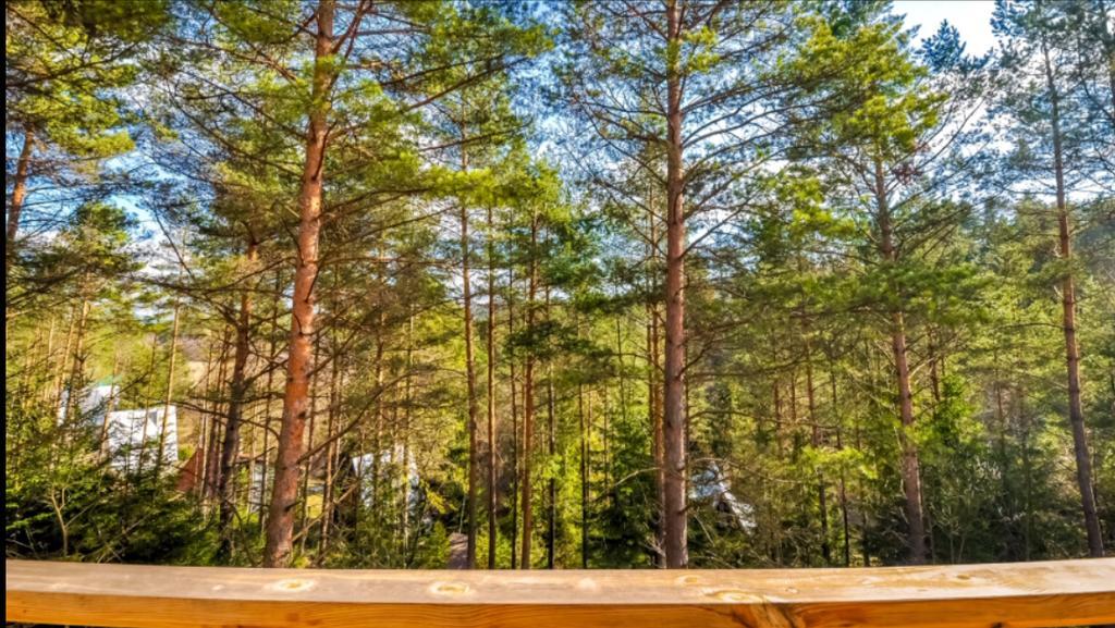 Chata Paradise Сміжани Екстер'єр фото